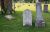 Martin, --  Calvin, Sarah Dean, and Channcey D. -- gravestones